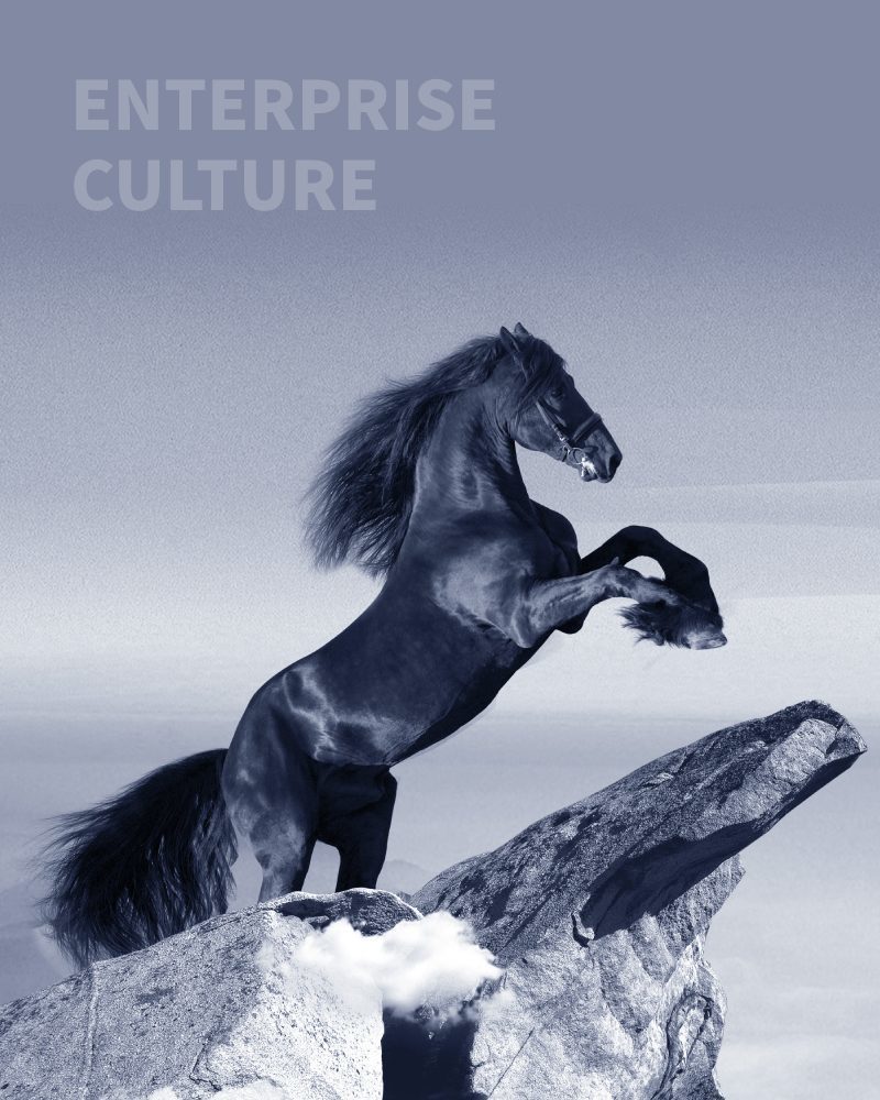 ENTERPRISE CULTURE ENTERPRISE CULTURE